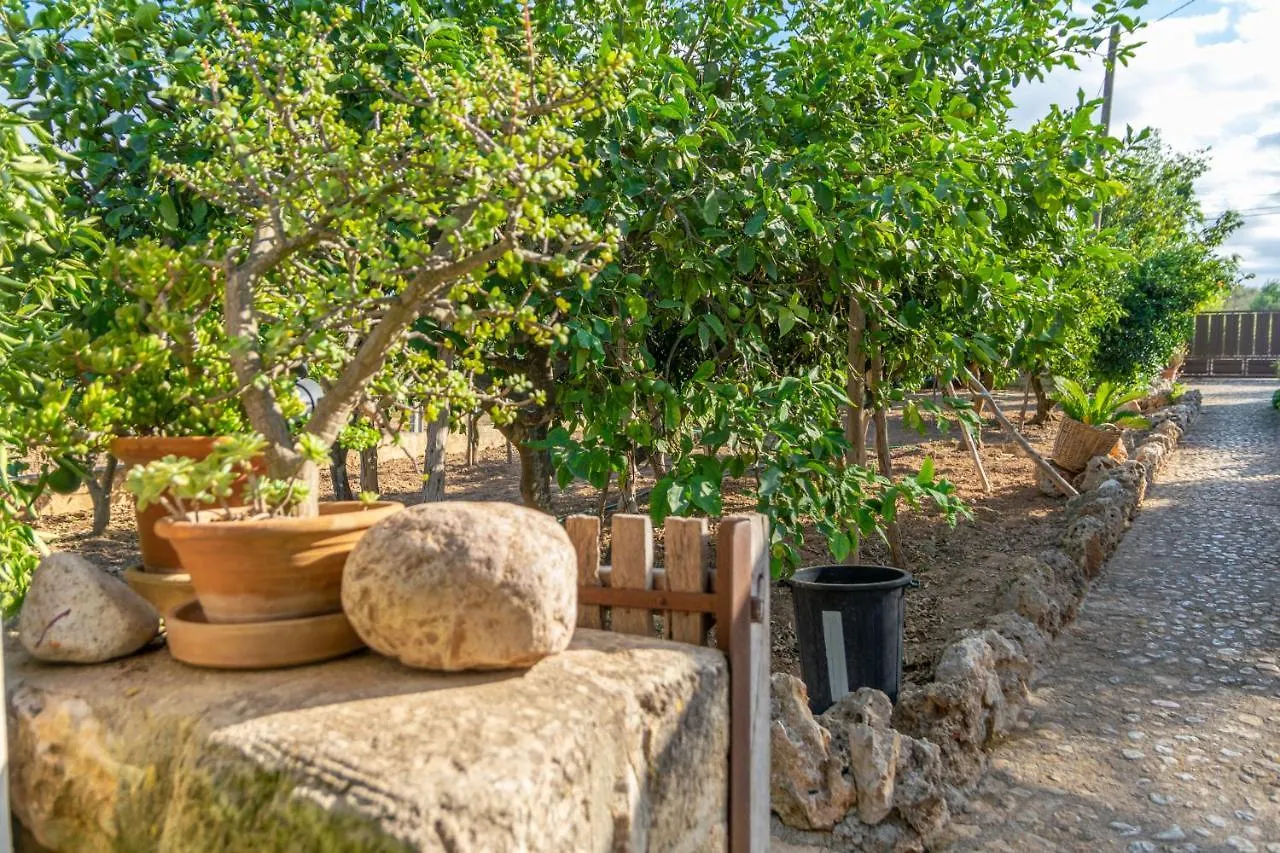 Finca Son Matginet 18 Sineu  Espanha
